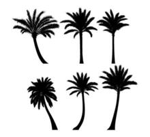 Silhouette of a date palm tree vector isolated on white background.