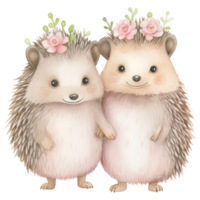 AI generated Romantic Valentine Hedgehog Couple - Cute Pink Clipart png
