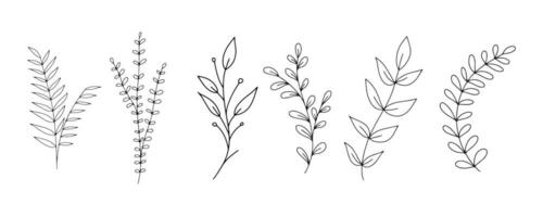 Set of botanical line art floral leaves, plants. Hand drawn sketch branches isolated on white background. Vector illustration