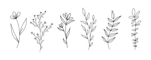 Set of botanical line art floral leaves, plants. Hand drawn sketch branches isolated on white background. Vector illustration