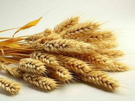 AI generated Close up of Wheat Ears Isolated on White Background. Wheat Grain. Generative AI photo
