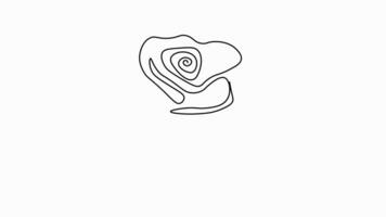 Self drawing animation with one continuous line draw, an emerging rose, a spring flower, a symbol of love video