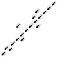 Silhouettes of ants walking in a row on a white background. Traces of worker ant colonies. vector