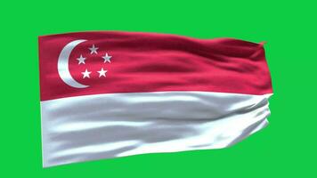 Singapore Flag 3d render waving animation motion graphic isolated on green screen background video