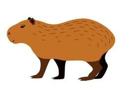 Cute capybara. Cartoon vector illustration, isolated element for your design