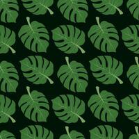 Seamless monstera pattern. Palm leaves on a dark green background. For wrapping paper, wallpaper, clothing vector