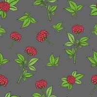 Seamless pattern with ginseng plant. vector