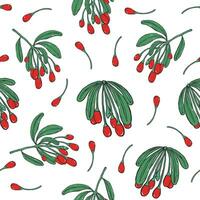 Seamless pattern with goji berries. Colorful hand drawn background with branches. vector