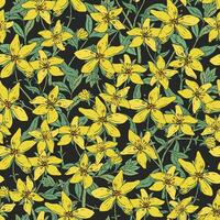 Seamless pattern with St. John's wort medical botanical blossom plant. hand drawn vector colorful texture in black background.