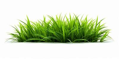 AI generated Fresh Green Grass Isolated on White Background. Generative AI photo