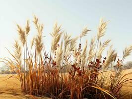 AI generated Prairies Grasses with Blue Sky View. Grass on Wild Field. Generative AI photo