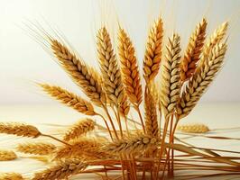 AI generated Close up of Wheat Ears Isolated on White Background. Wheat Grain. Generative AI photo