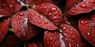 ai generado Fresco rojo hojas con agua gotas. cerca arriba de hoja con gotas de lluvia. generativo ai foto