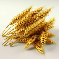 AI generated Close up of Wheat Ears Isolated on White Background. Wheat Grain. Generative AI photo