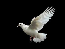 AI generated Beautiful White Dove Flapping Its Wings Isolated on Black Background. Generative AI photo