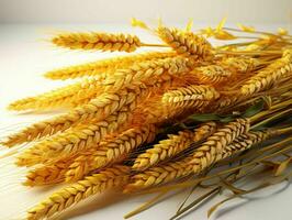 AI generated Close up of Wheat Ears Isolated on White Background. Wheat Grain. Generative AI photo