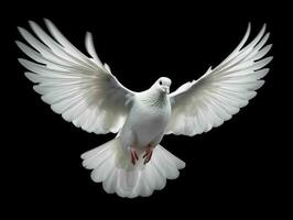 AI generated Beautiful White Dove Flapping Its Wings Isolated on Black Background. Generative AI photo