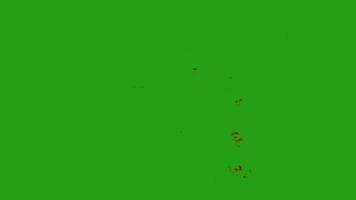 sangre salpicaduras chorros verde pantalla vídeo video