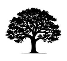 tree silhouette isolated on white vector