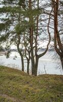 Landscape shot of the lake during cold season. Nature photo