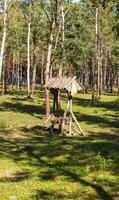 Landscape shot of the forest with elk feeder installed. Outdoors photo