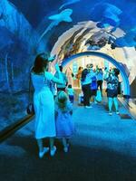 Dubai, UAE - 07.14.2022 - Visitors at Dubai aquarium attraction. Landmark photo