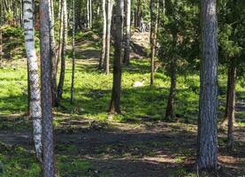 Baranovichi, Belarus - 10.03.2023 - People walking with the deers in the zoo. Animals photo