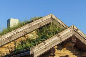 Shot of the roof of an old hut in the village with grown weeds on it. Rural photo