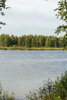 Landscape shot of the pond. Outdoors photo