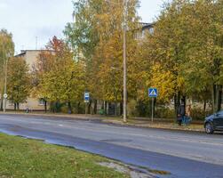 Shot of the colorful autumn trees. Season photo