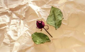 Concept shot of the background theme, wrapping paper, dried roses other flowers and other arrangements. Valentines day photo