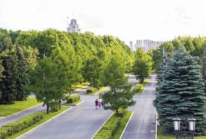 People enjoying day out in the park. Outdoors photo