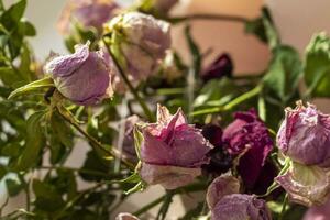 Concept shot of the background theme, wrapping paper, dried roses other flowers and other arrangements. Valentines day photo