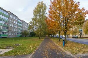 Shot of the colorful autumn trees. Season photo