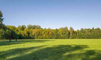 Two women walking towards the forest to harvest mushrooms. Nature photo