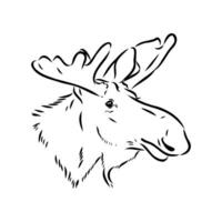 moose vector sketch