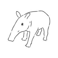 tapir vector sketch