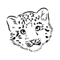 nieve leopardo vector bosquejo