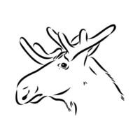 moose vector sketch