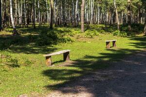 Landscape shot of the beautiful park. Outdoors photo