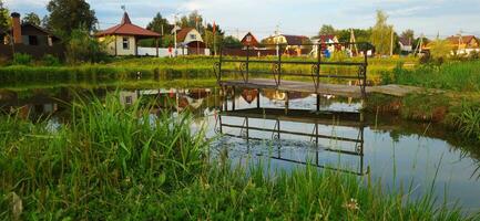 Landscape shot of the pond. Outdoors photo