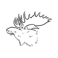 moose vector sketch