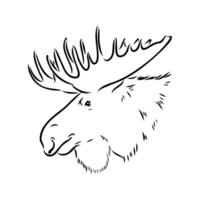 moose vector sketch