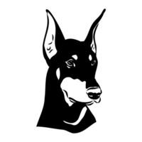 doberman dog vector sketch