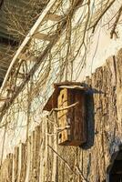 Concept shot of the wooden birdhouse. Outdoor photo