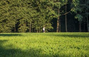 Shot of the man in the forest. Concept photo