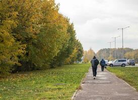 Shot of the colorful autumn trees. Season photo