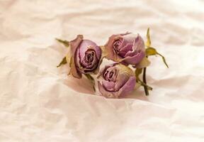 Concept shot of the background theme, wrapping paper, dried roses other flowers and other arrangements. Valentines day photo