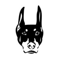 doberman dog vector sketch