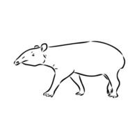 tapir vector sketch